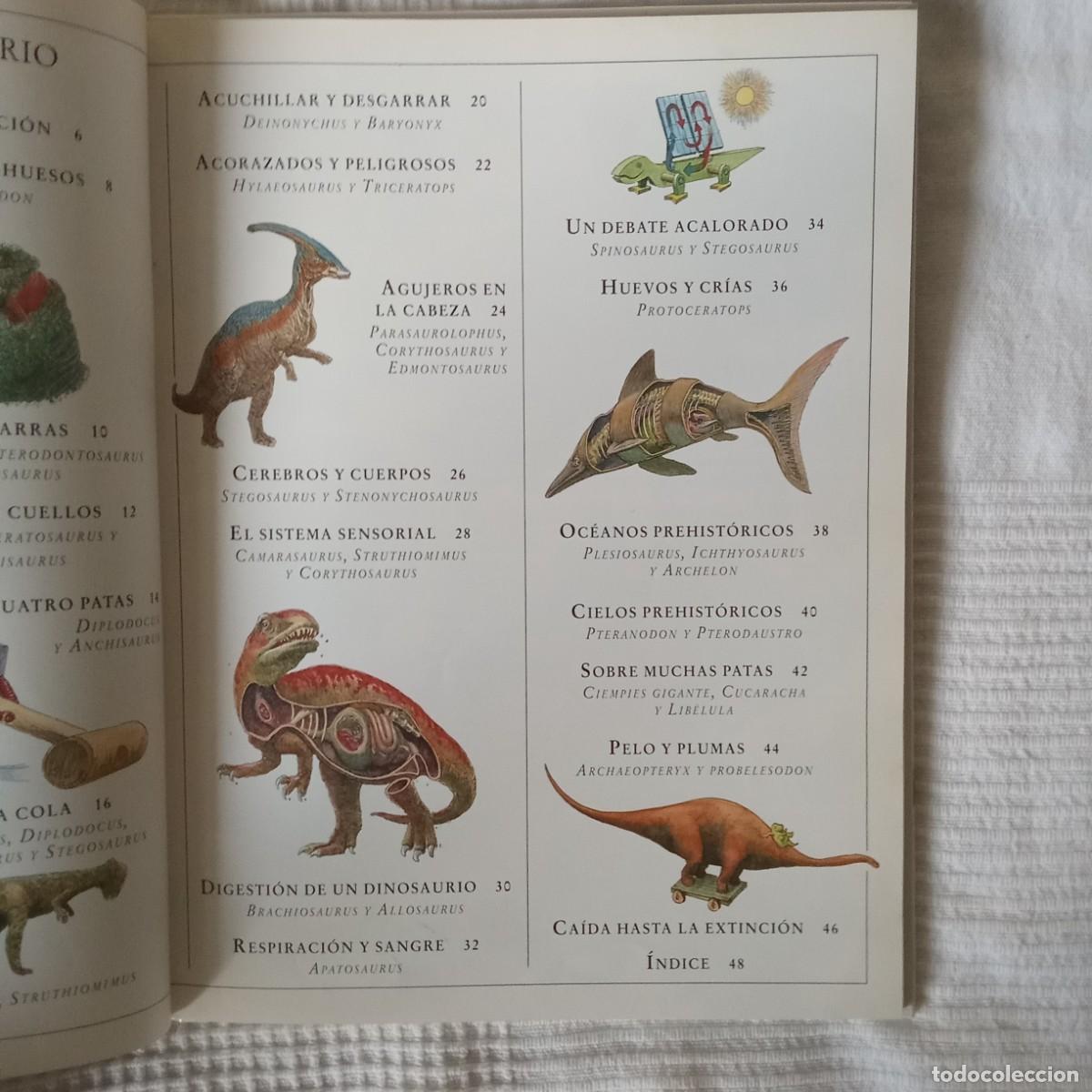 Libros de segunda mano: EL INTERIOR DE LOS DINOSAURIOS Y OTROS ANIMALES PREHISTORICOS .TED DEWAN - Foto 4