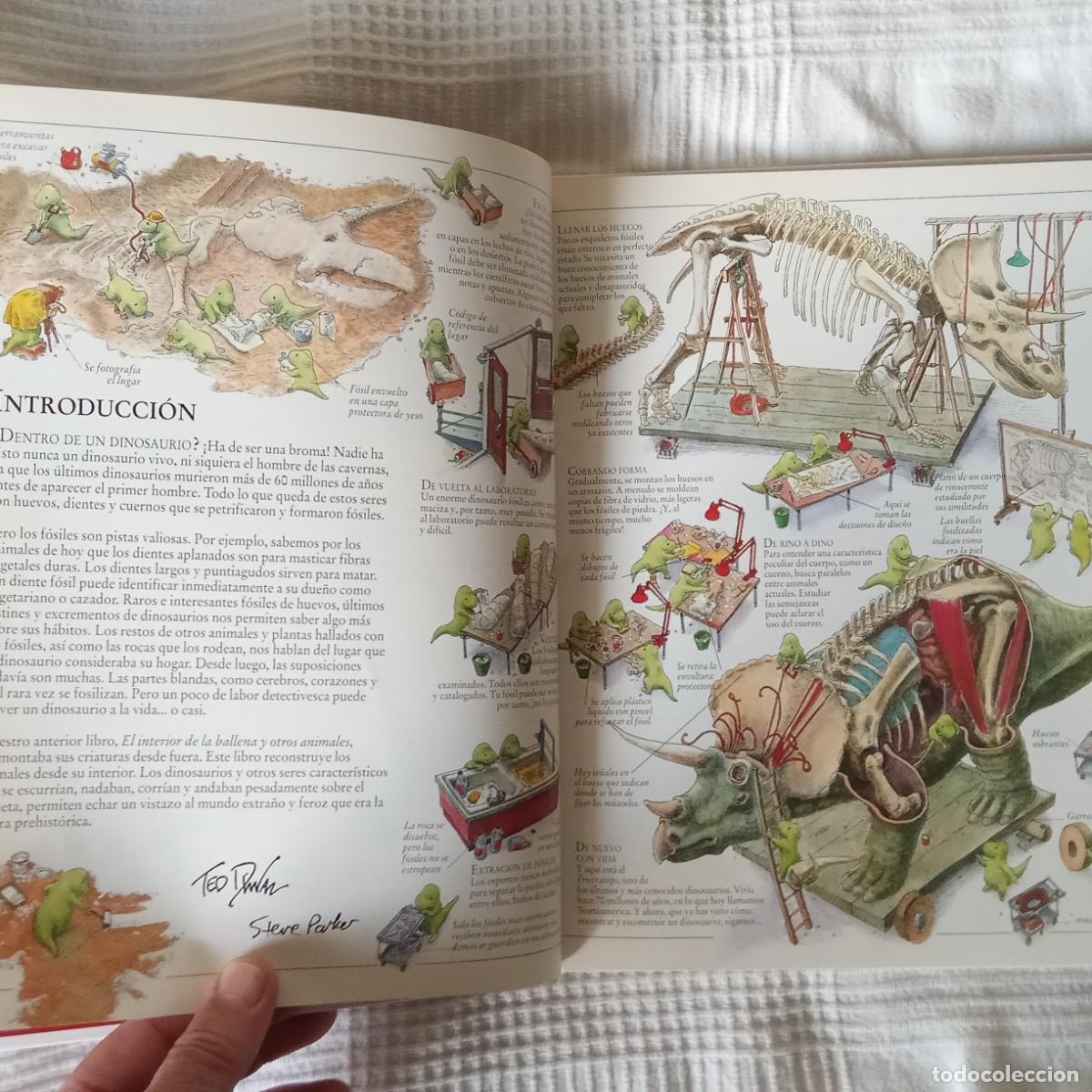 Libros de segunda mano: EL INTERIOR DE LOS DINOSAURIOS Y OTROS ANIMALES PREHISTORICOS .TED DEWAN - Foto 5
