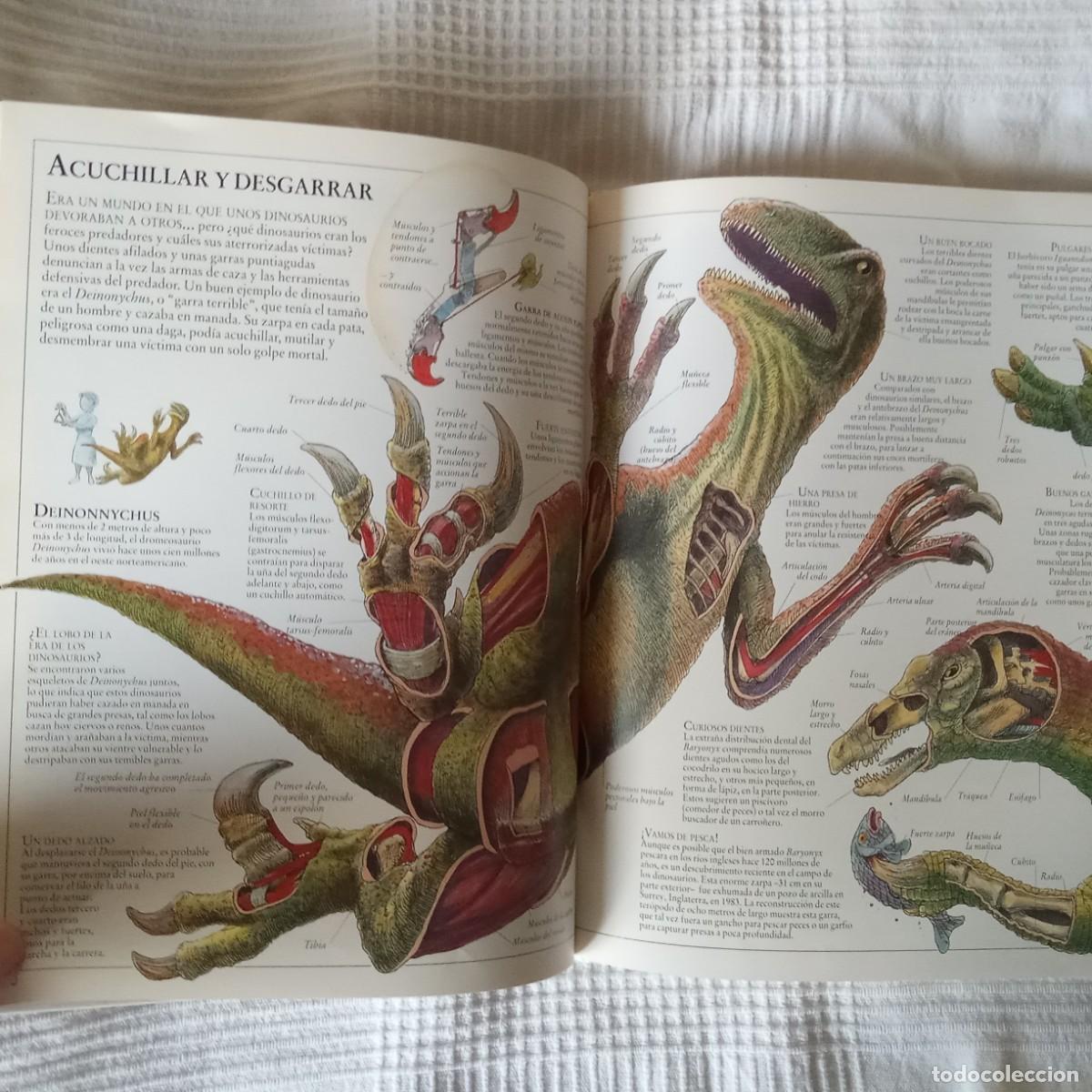 Libros de segunda mano: EL INTERIOR DE LOS DINOSAURIOS Y OTROS ANIMALES PREHISTORICOS .TED DEWAN - Foto 8