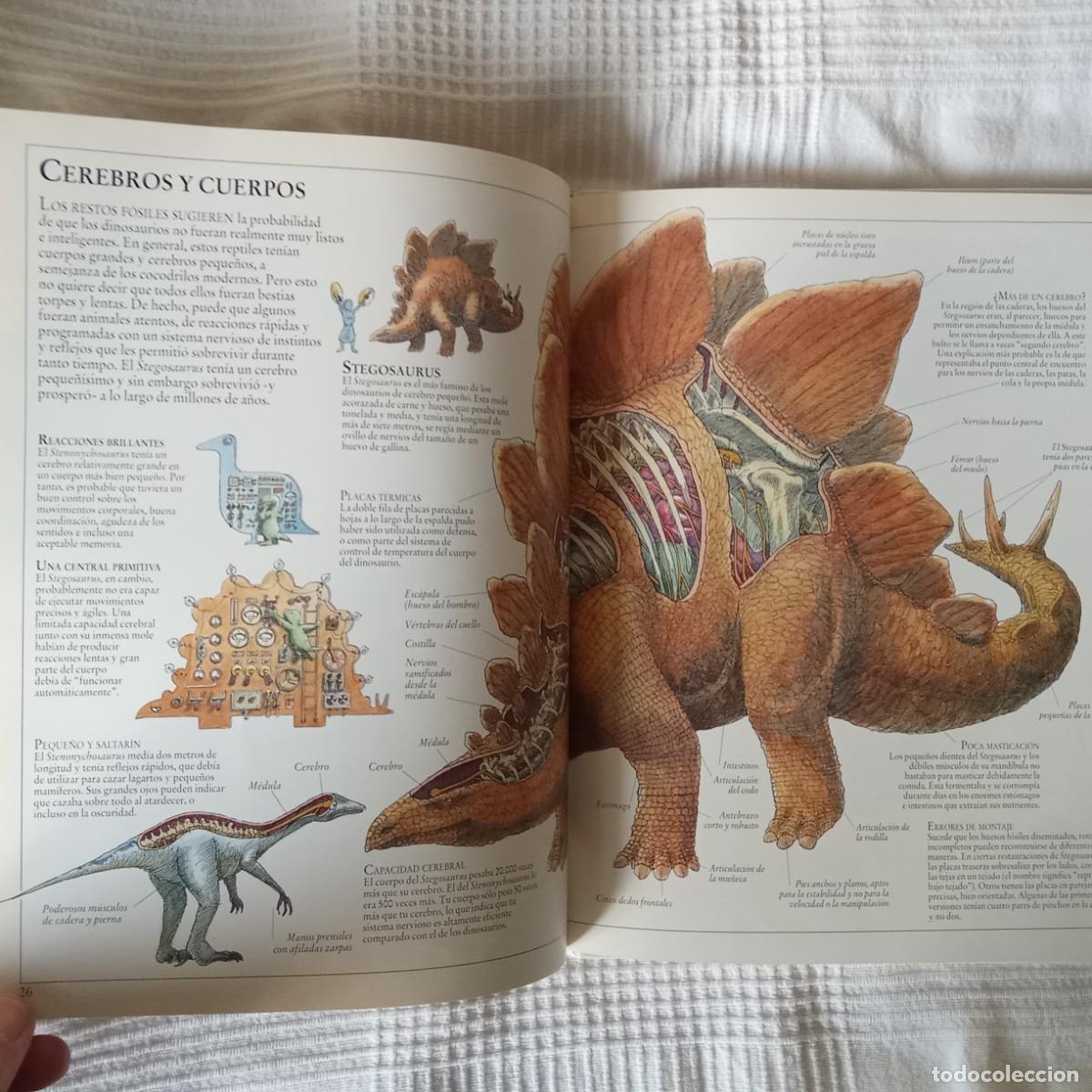 Libros de segunda mano: EL INTERIOR DE LOS DINOSAURIOS Y OTROS ANIMALES PREHISTORICOS .TED DEWAN - Foto 9