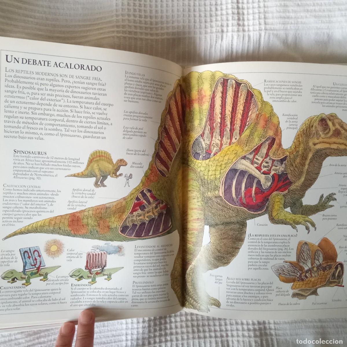 Libros de segunda mano: EL INTERIOR DE LOS DINOSAURIOS Y OTROS ANIMALES PREHISTORICOS .TED DEWAN - Foto 10