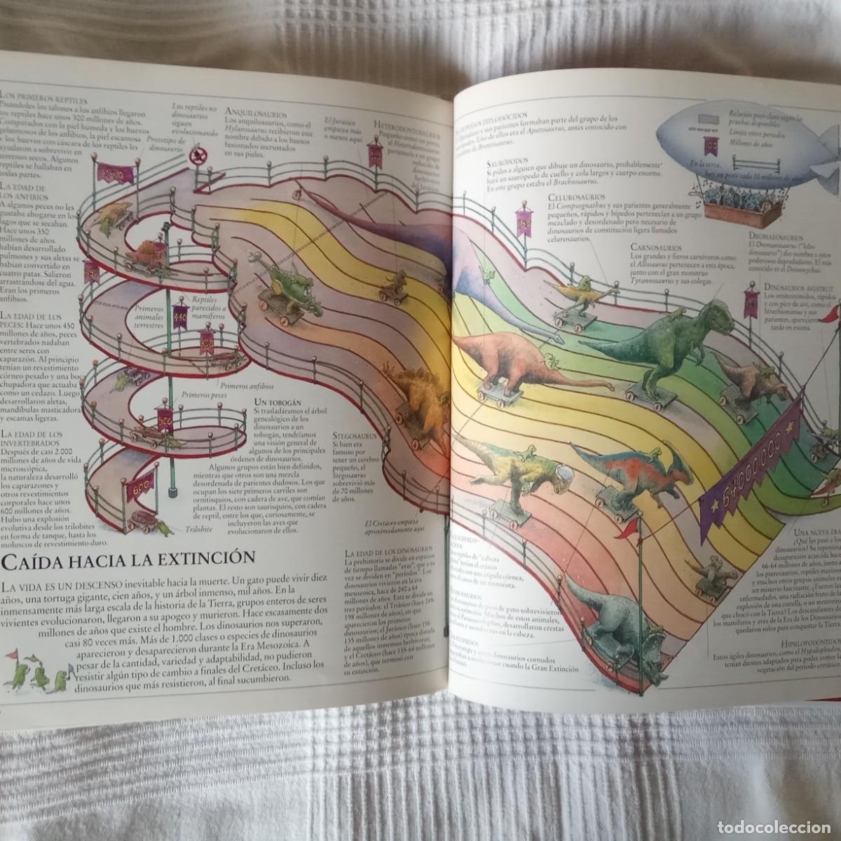 Libros de segunda mano: EL INTERIOR DE LOS DINOSAURIOS Y OTROS ANIMALES PREHISTORICOS .TED DEWAN - Foto 11