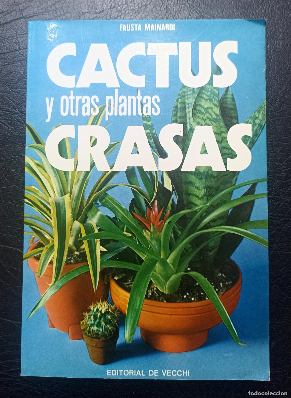 Libros de segunda mano: CACTUS Y OTRAS PLANTAS CRASAS - FAUSTA MAINARDI - EDITORIAL DE VECCHI - 1978 - Foto 1