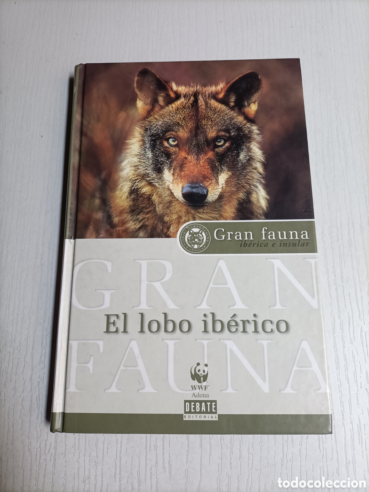 Libros de segunda mano: El lobo Ib&eacute;rico Gran fauna. Ib&eacute;rica e insular - Foto 2