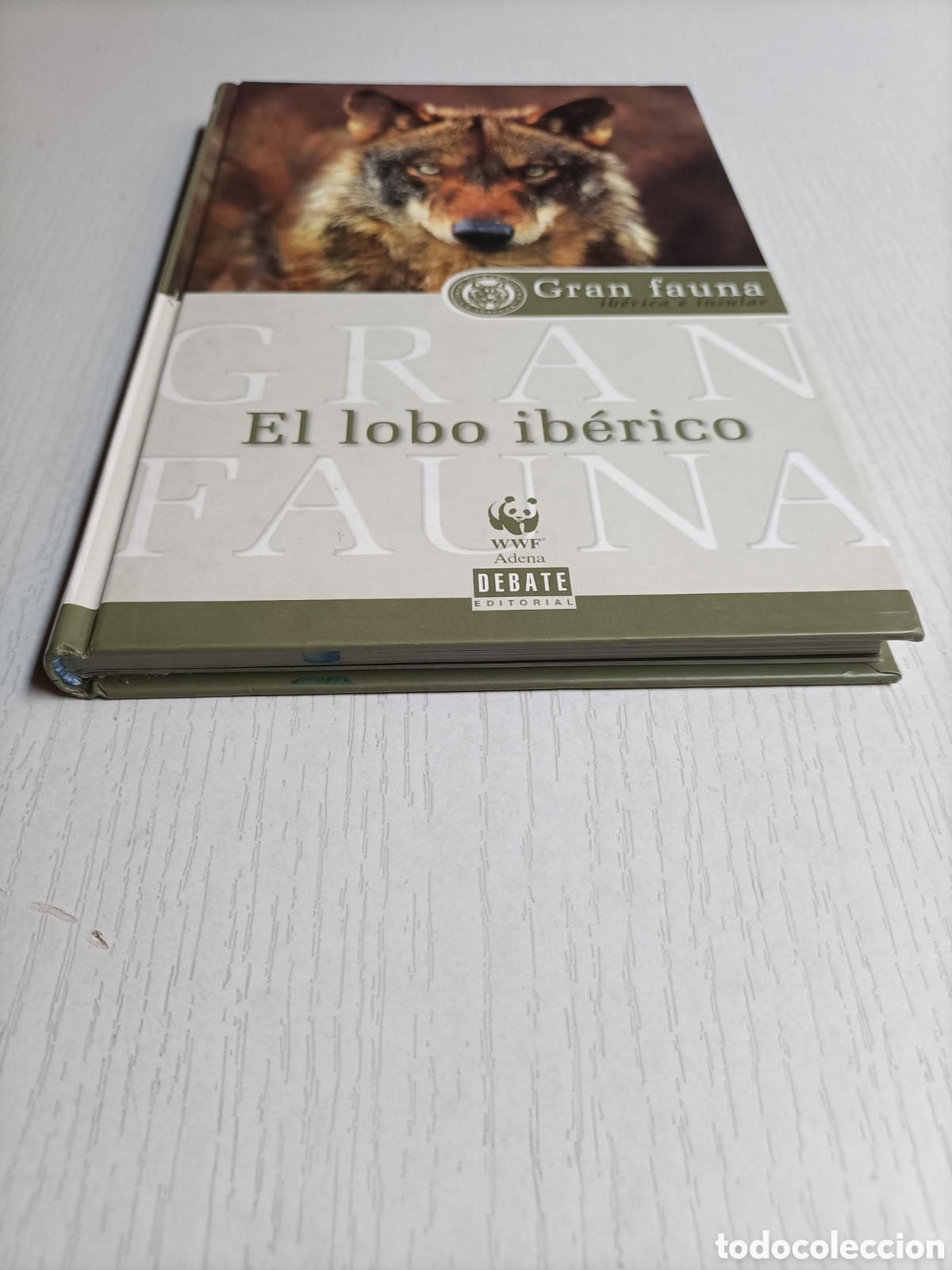 Libros de segunda mano: El lobo Ib&eacute;rico Gran fauna. Ib&eacute;rica e insular - Foto 3