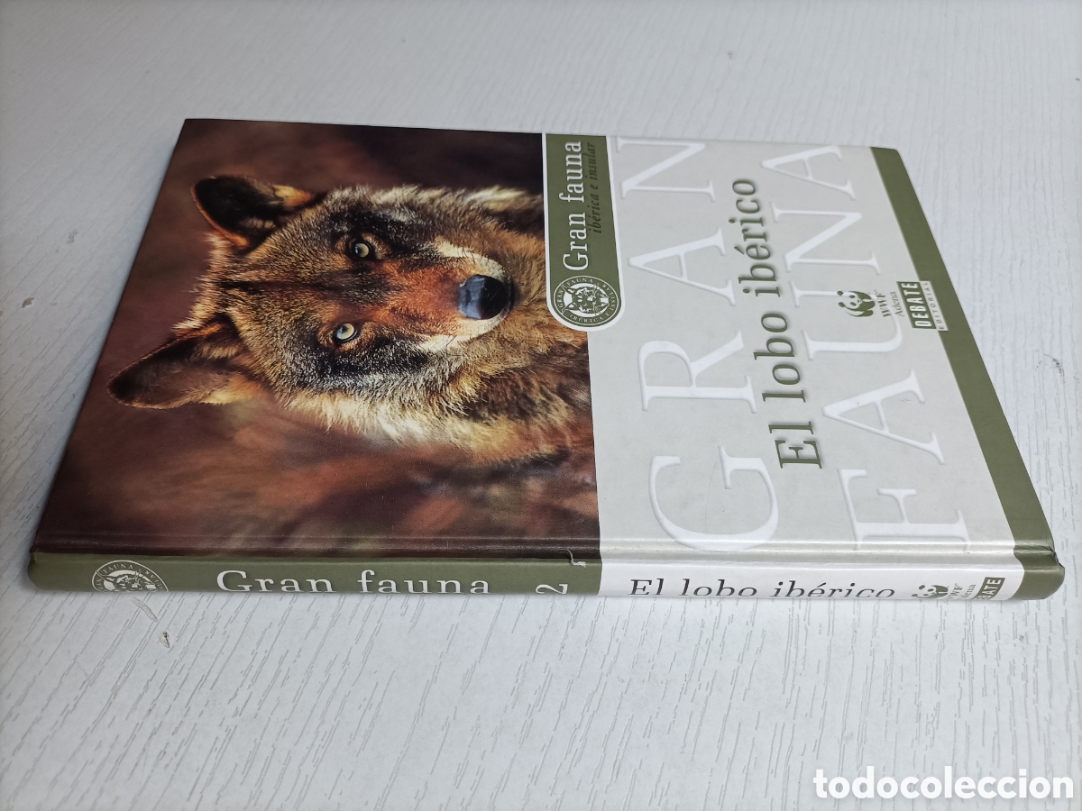 Libros de segunda mano: El lobo Ib&eacute;rico Gran fauna. Ib&eacute;rica e insular - Foto 1