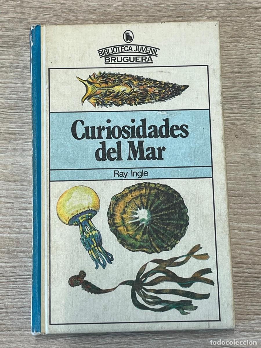 Libros de segunda mano: &rdquo;Curiosidades del Mar&rdquo;, de Ray Ingle - Foto 1