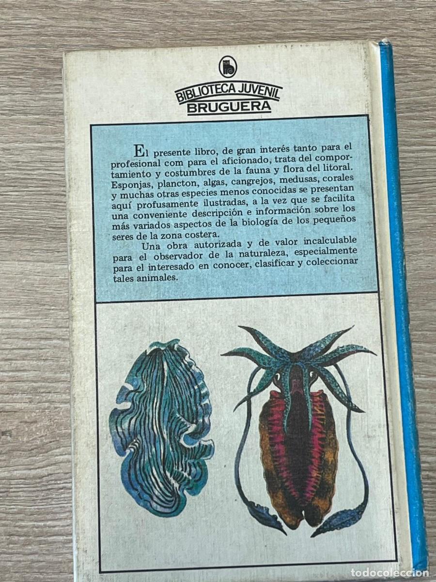 Libros de segunda mano: &rdquo;Curiosidades del Mar&rdquo;, de Ray Ingle - Foto 2