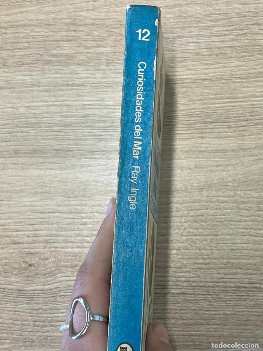 Libros de segunda mano: &rdquo;Curiosidades del Mar&rdquo;, de Ray Ingle - Foto 3
