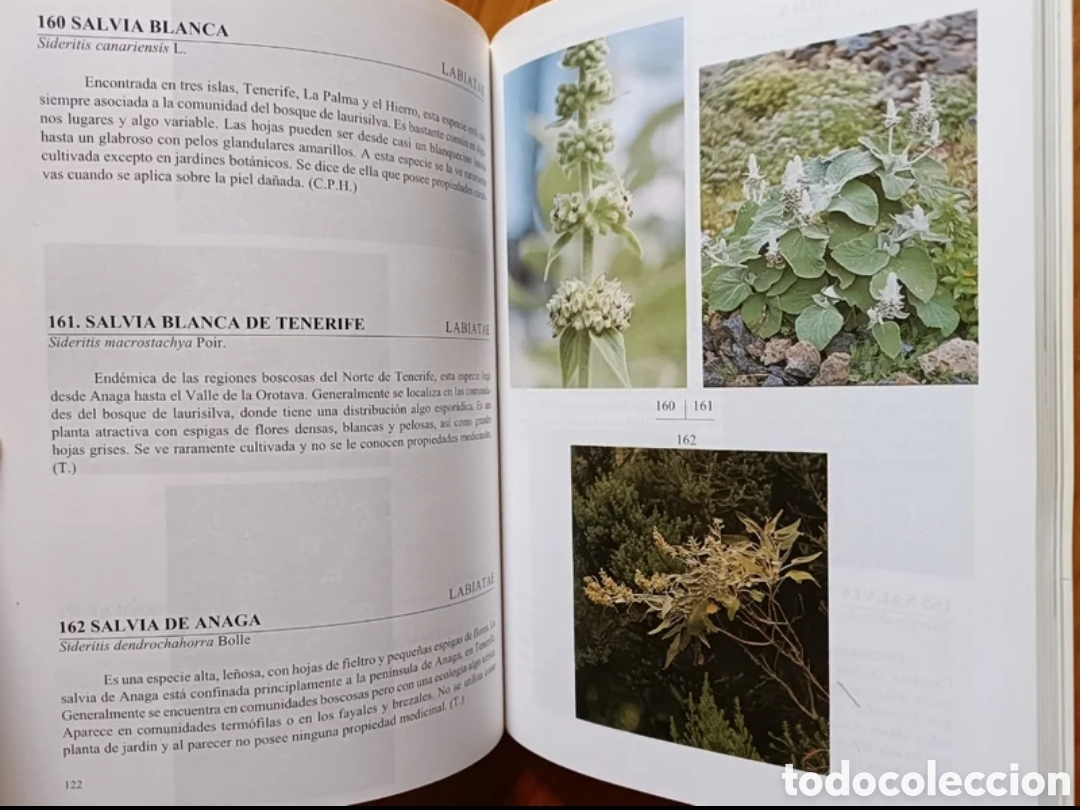 Libros de segunda mano: Flora de las Islas Canarias. - Foto 5