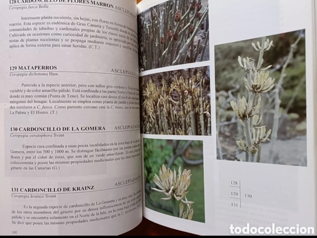 Libros de segunda mano: Flora de las Islas Canarias. - Foto 6