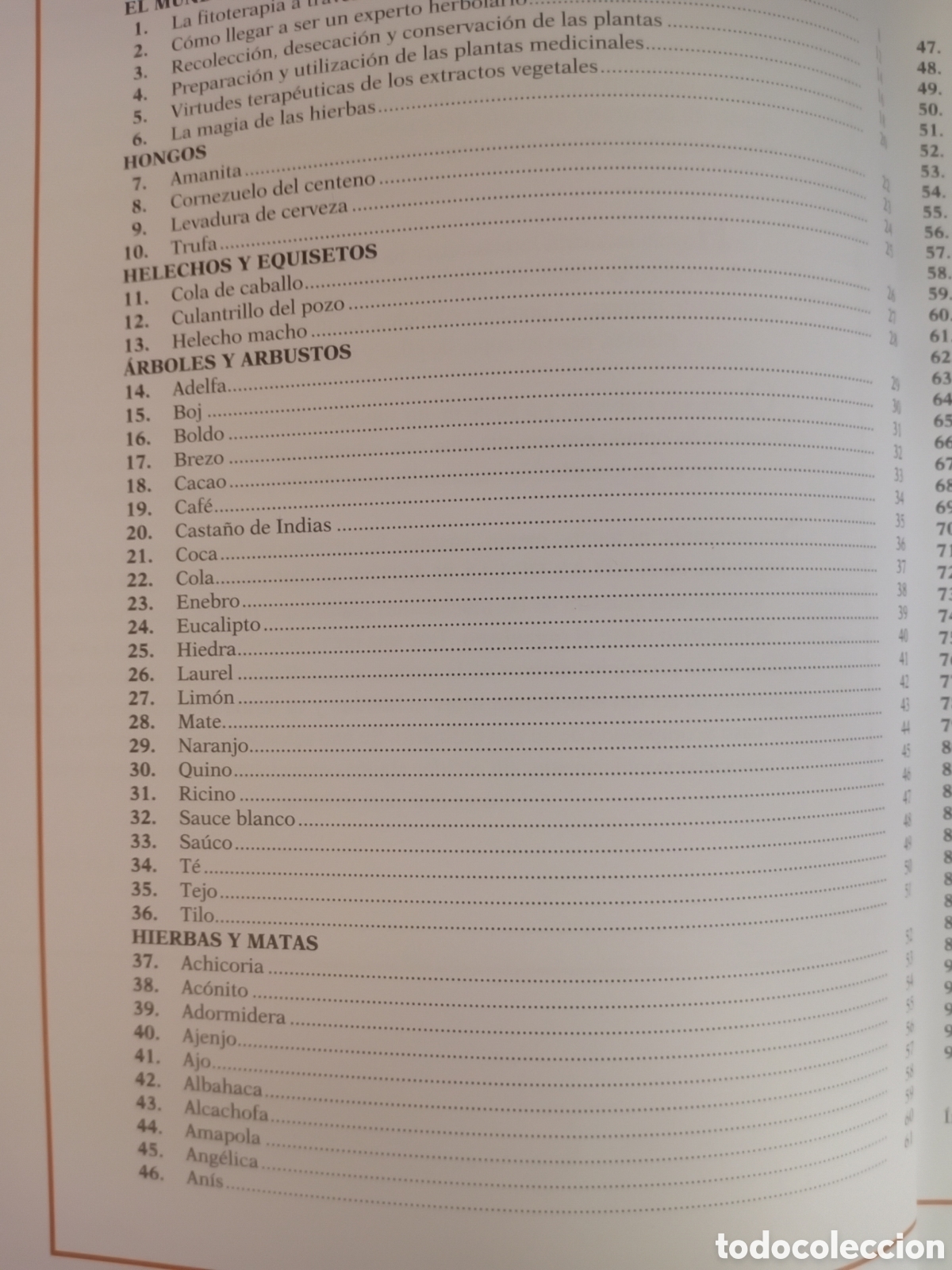 Libros de segunda mano: PLANTAS MEDICINALES Y CURATIVAS. - Foto 4