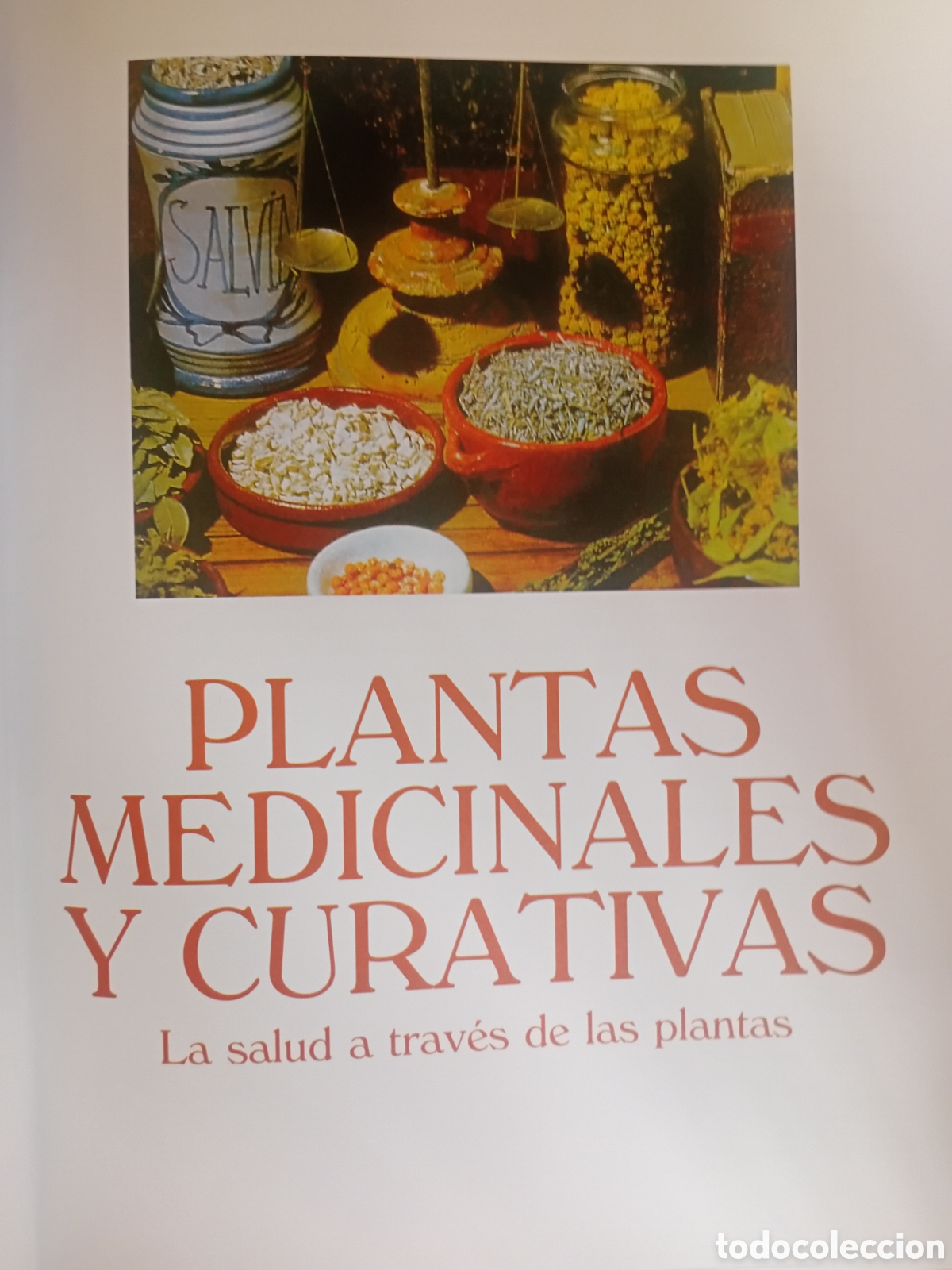 Libros de segunda mano: PLANTAS MEDICINALES Y CURATIVAS. - Foto 2