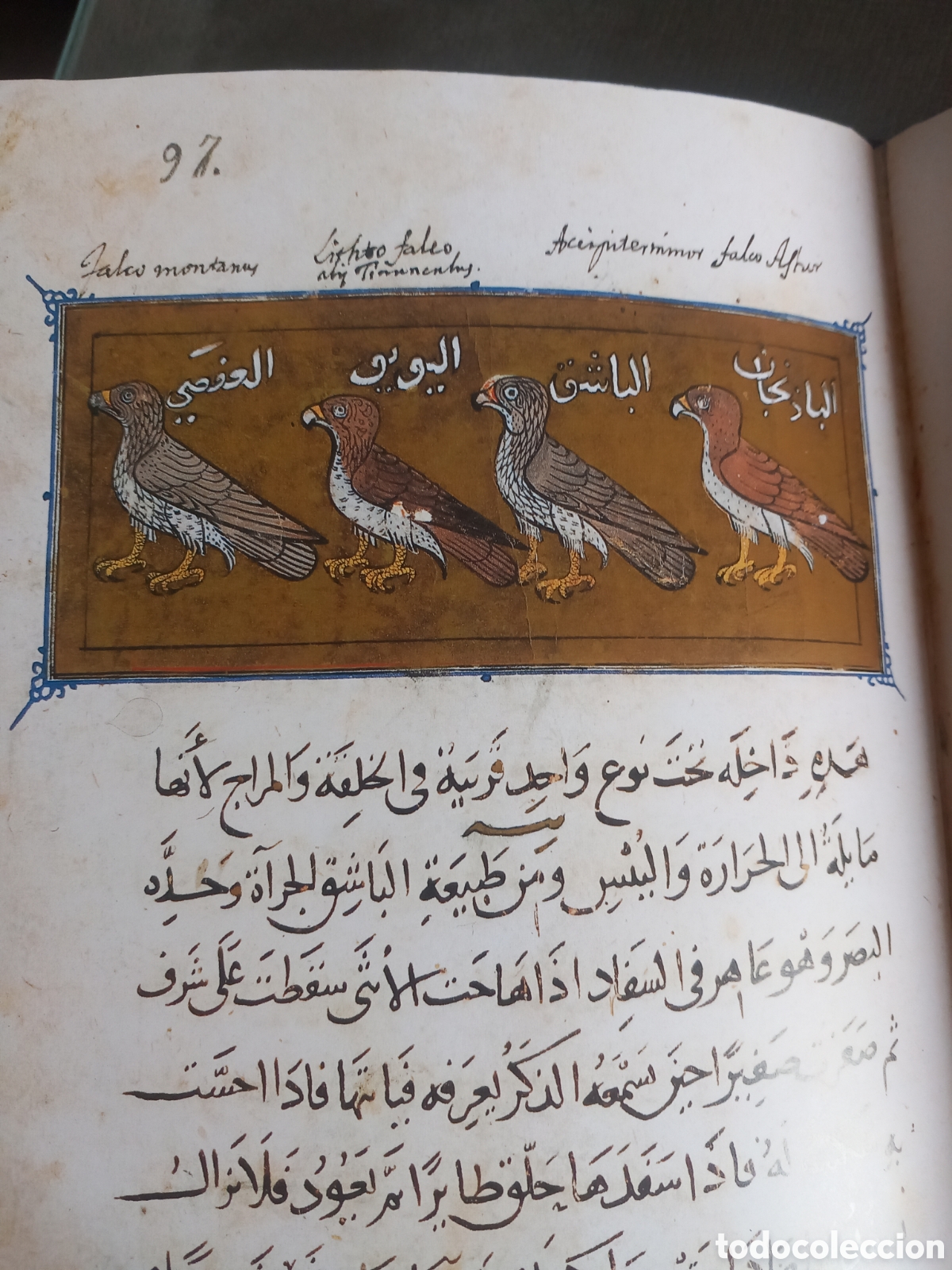 Libros de segunda mano: La unidad de los animales - Foto 4