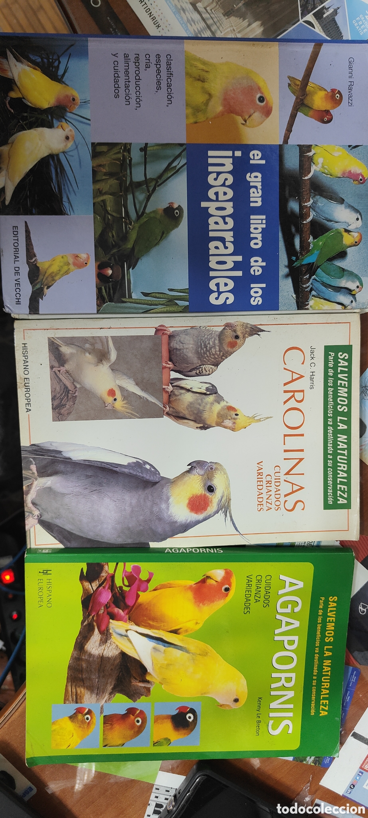 Libros de segunda mano: PACK DE 3 LIBROS EL GRAN LIBRO DE LOS INSEPARABLES CAROLINAS Y AGAPORNIS - Foto 1