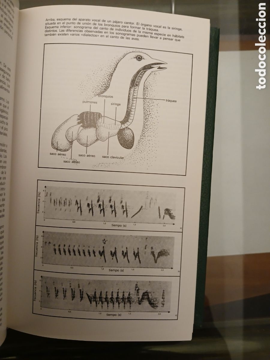 Libros de segunda mano: Gu&iacute;a de Aves de Jaula. Grijalbo. - Foto 10