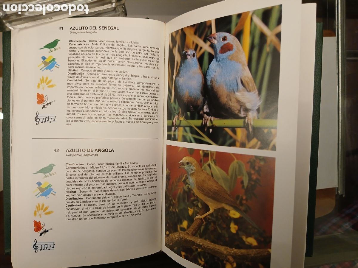 Libros de segunda mano: Gu&iacute;a de Aves de Jaula. Grijalbo. - Foto 11