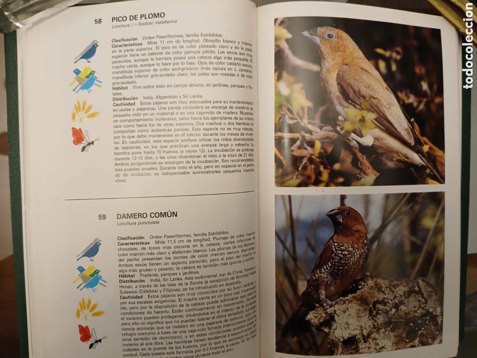 Libros de segunda mano: Gu&iacute;a de Aves de Jaula. Grijalbo. - Foto 12