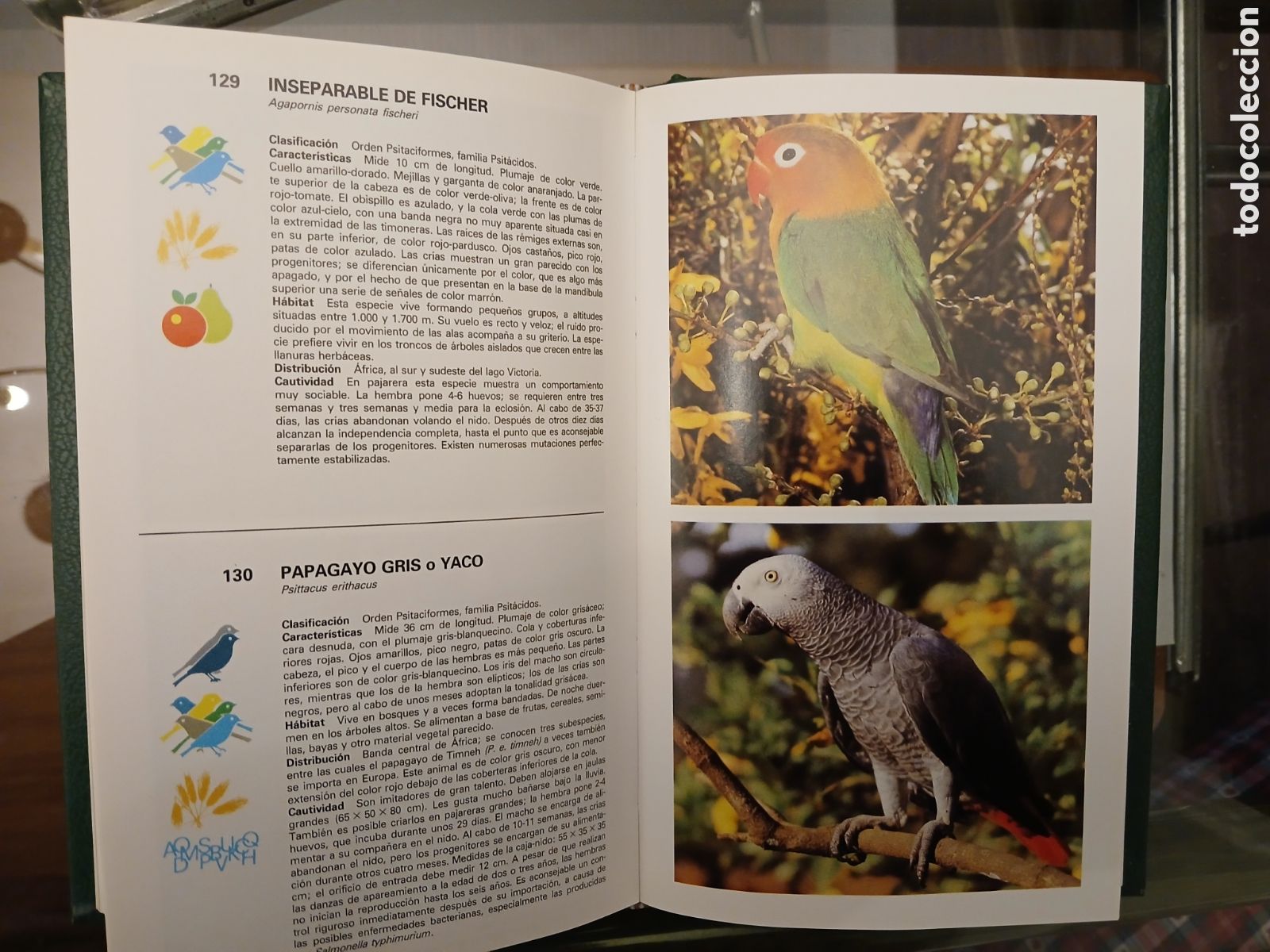 Libros de segunda mano: Gu&iacute;a de Aves de Jaula. Grijalbo. - Foto 15