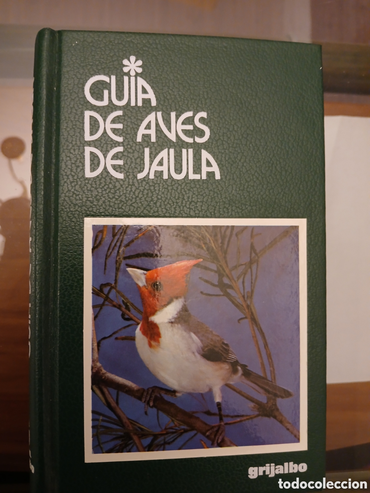 Libros de segunda mano: Gu&iacute;a de Aves de Jaula. Grijalbo. - Foto 1