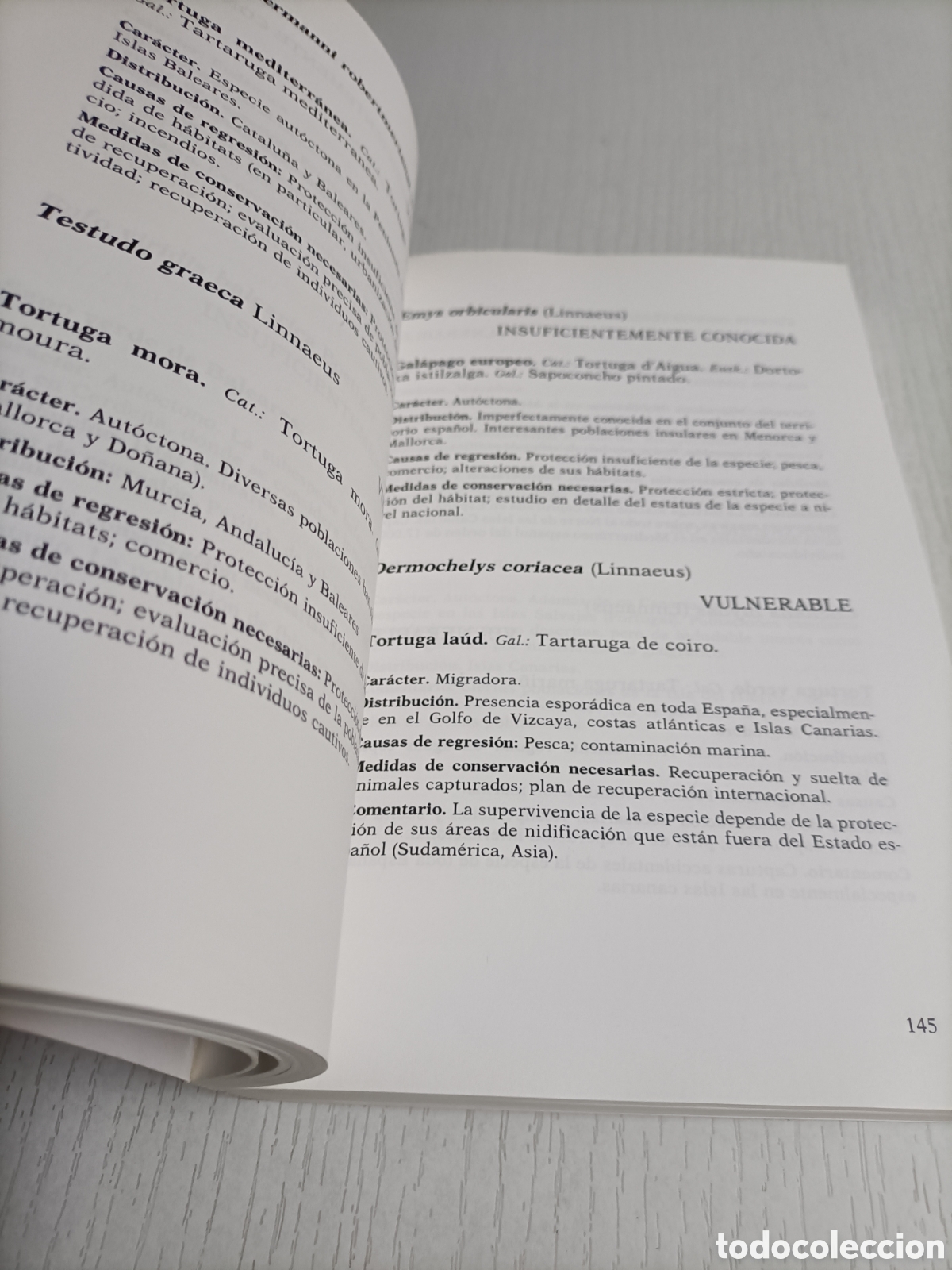 Libros de segunda mano: Lista roja de los vertebrados de Espa&ntilde;a. - Foto 8