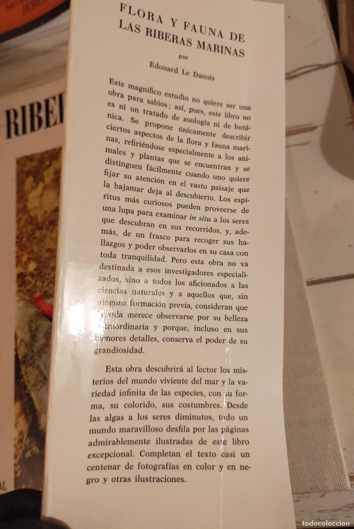 Libros de segunda mano: FLORA Y FAUNA DE LAS RIBERAS MARINAS - Foto 2