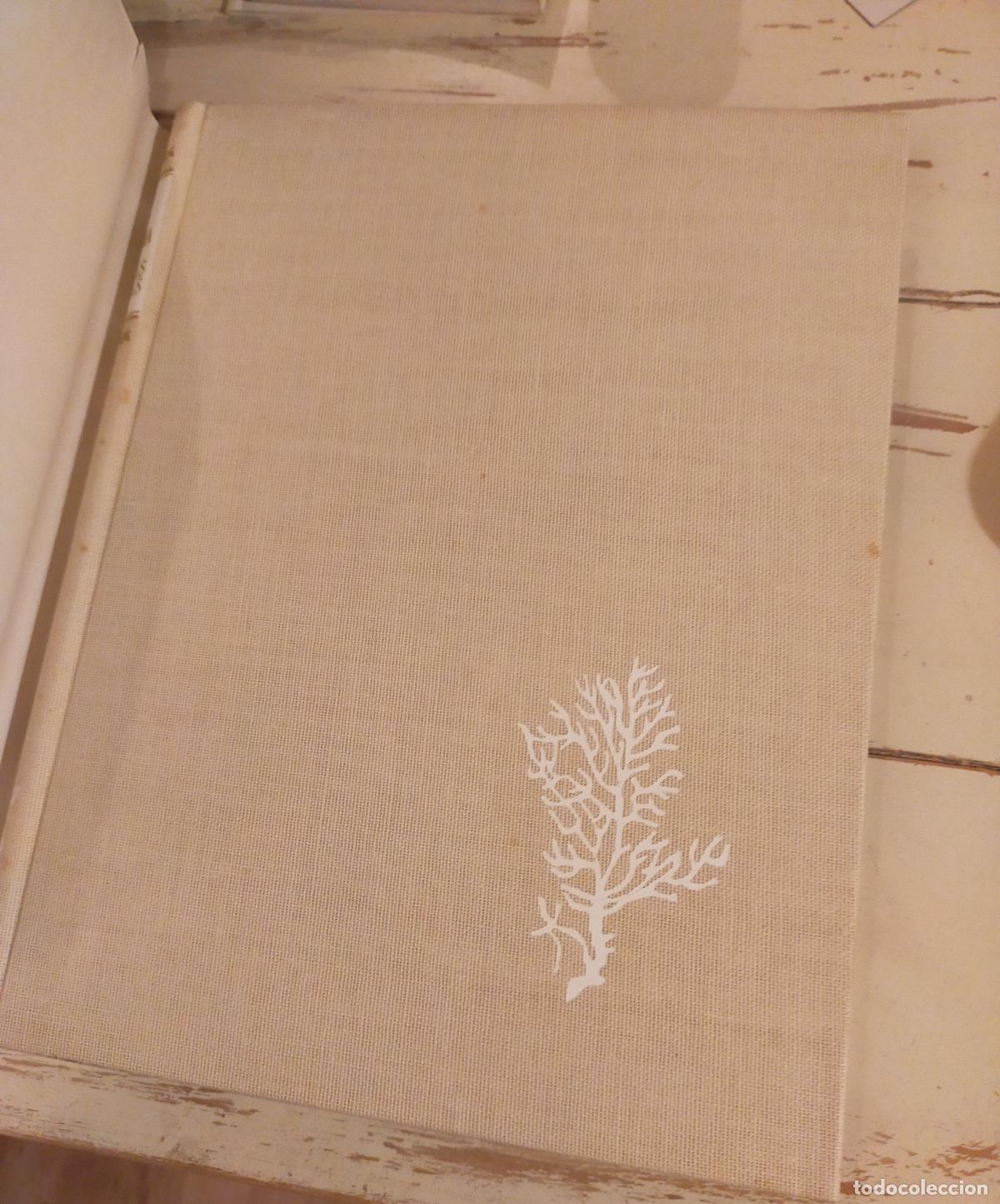Libros de segunda mano: FLORA Y FAUNA DE LAS RIBERAS MARINAS - Foto 3