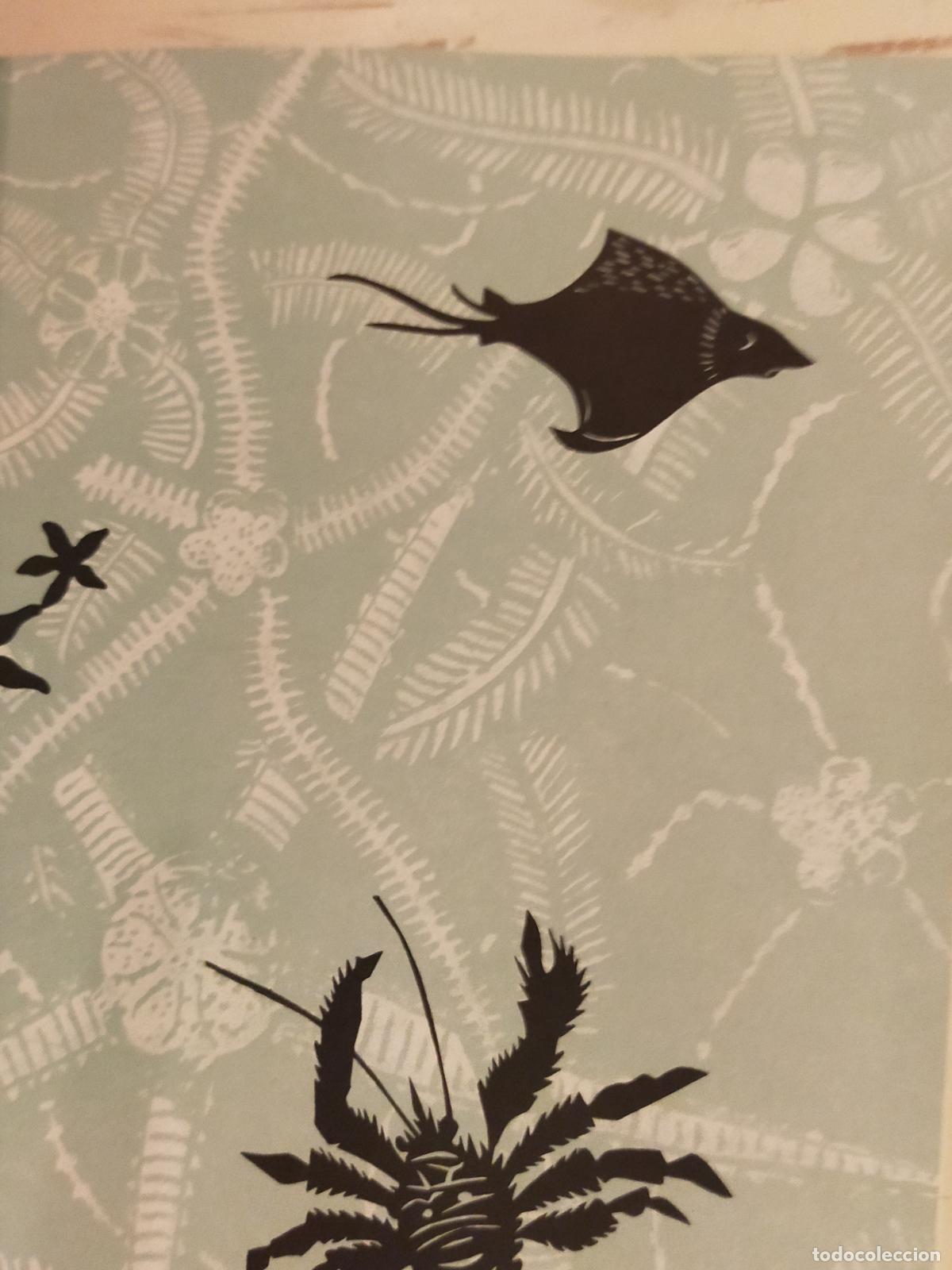 Libros de segunda mano: FLORA Y FAUNA DE LAS RIBERAS MARINAS - Foto 4