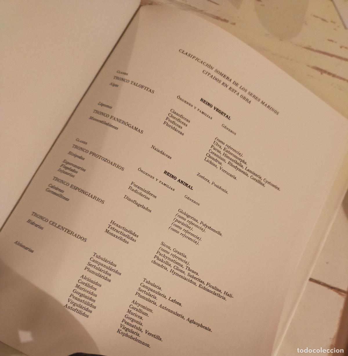 Libros de segunda mano: FLORA Y FAUNA DE LAS RIBERAS MARINAS - Foto 8