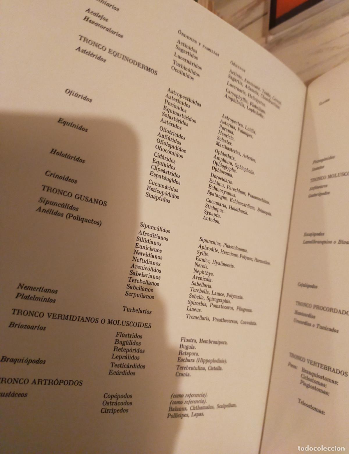Libros de segunda mano: FLORA Y FAUNA DE LAS RIBERAS MARINAS - Foto 9