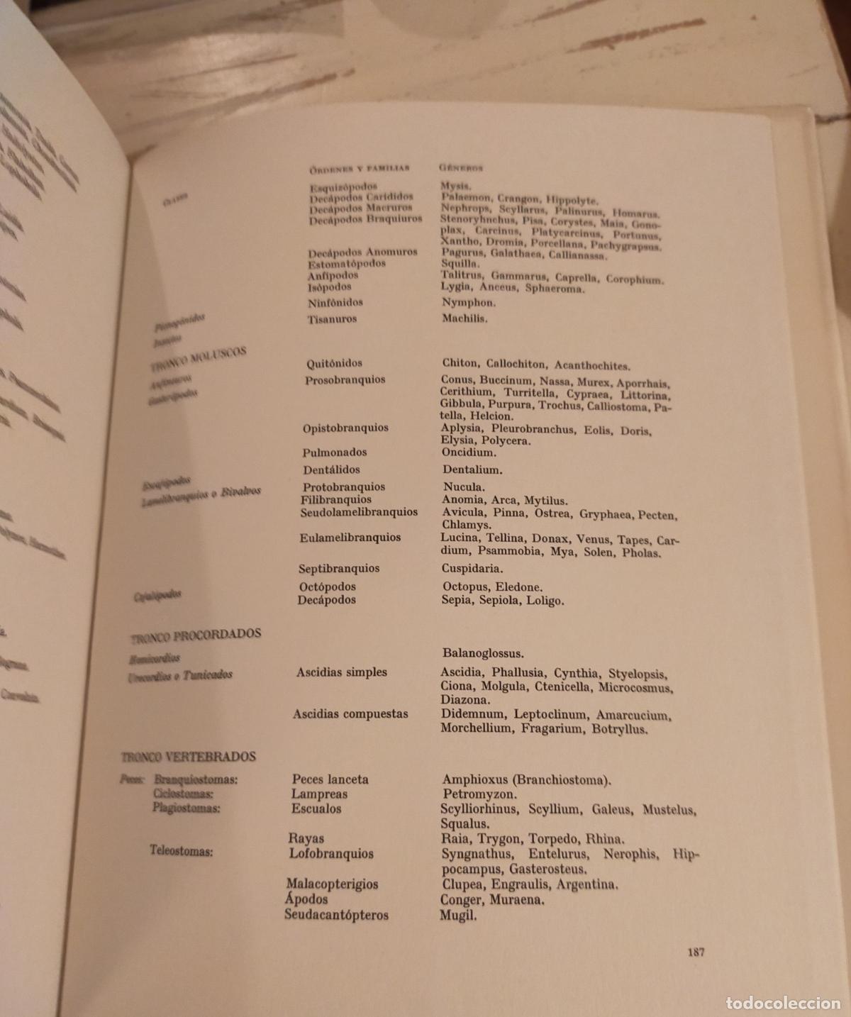 Libros de segunda mano: FLORA Y FAUNA DE LAS RIBERAS MARINAS - Foto 10