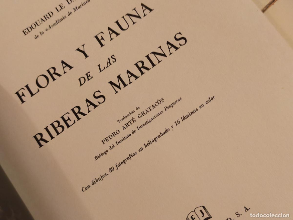 Libros de segunda mano: FLORA Y FAUNA DE LAS RIBERAS MARINAS - Foto 11