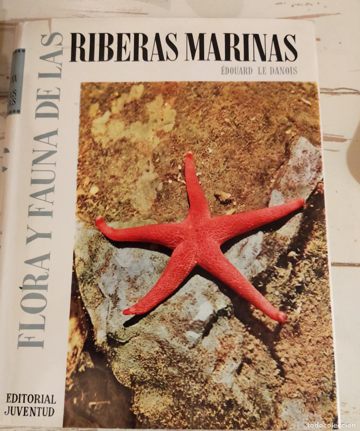 Libros de segunda mano: FLORA Y FAUNA DE LAS RIBERAS MARINAS - Foto 1