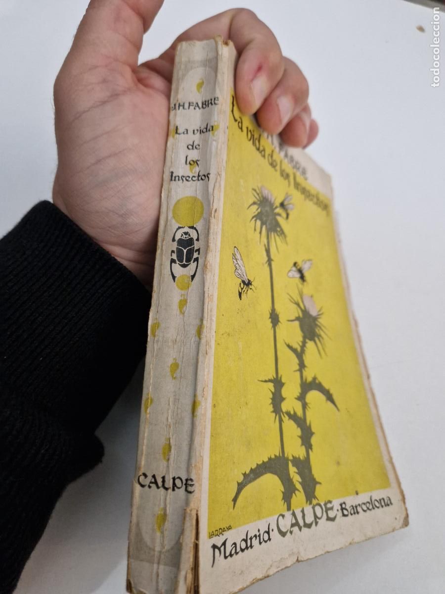 Libros de segunda mano: ANTIGUO LIBRO J.H. FABRE LA VIDA DE LOS INSECTOS CALPE 1920 - Foto 2