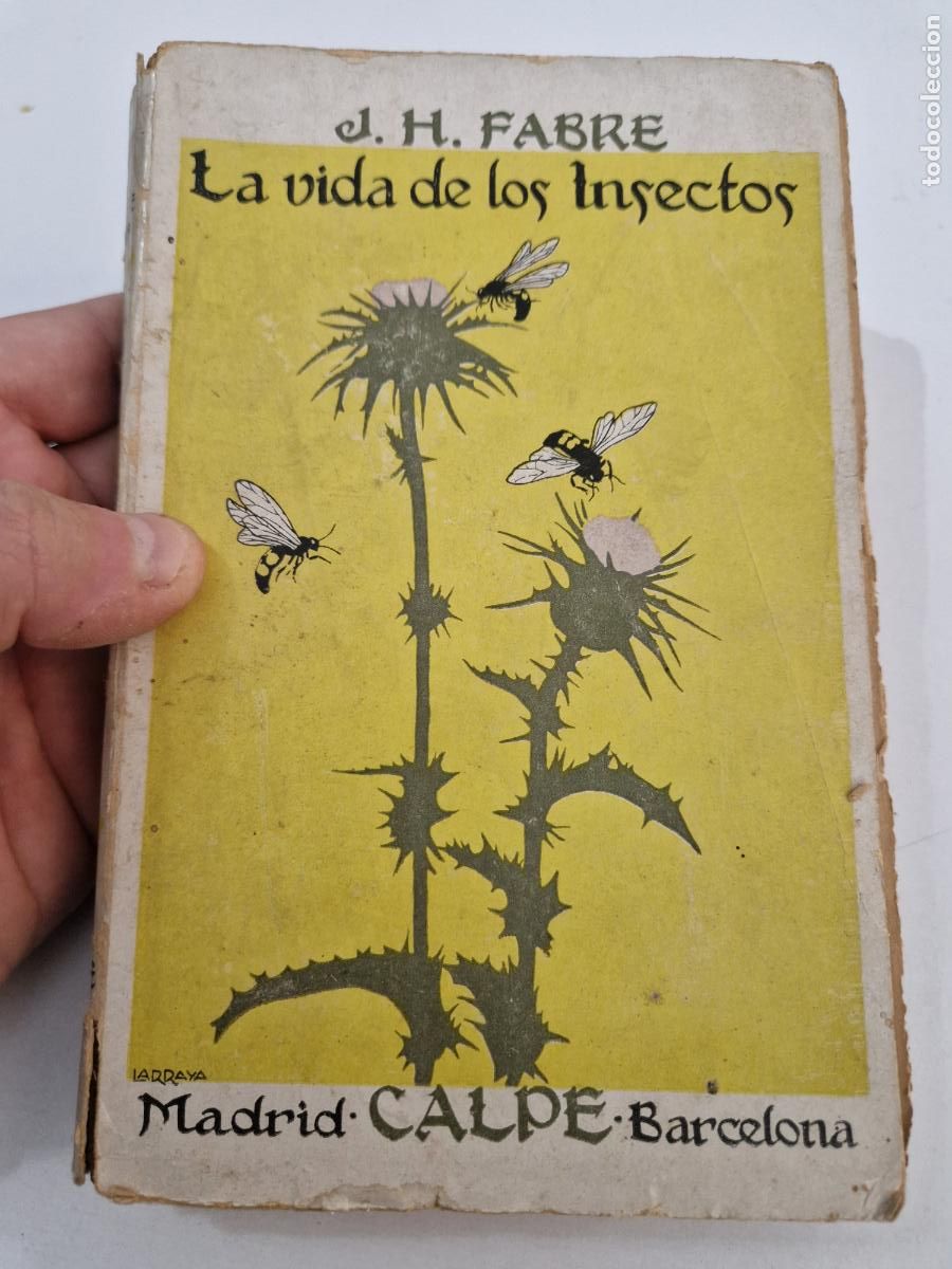Libros de segunda mano: ANTIGUO LIBRO J.H. FABRE LA VIDA DE LOS INSECTOS CALPE 1920 - Foto 1