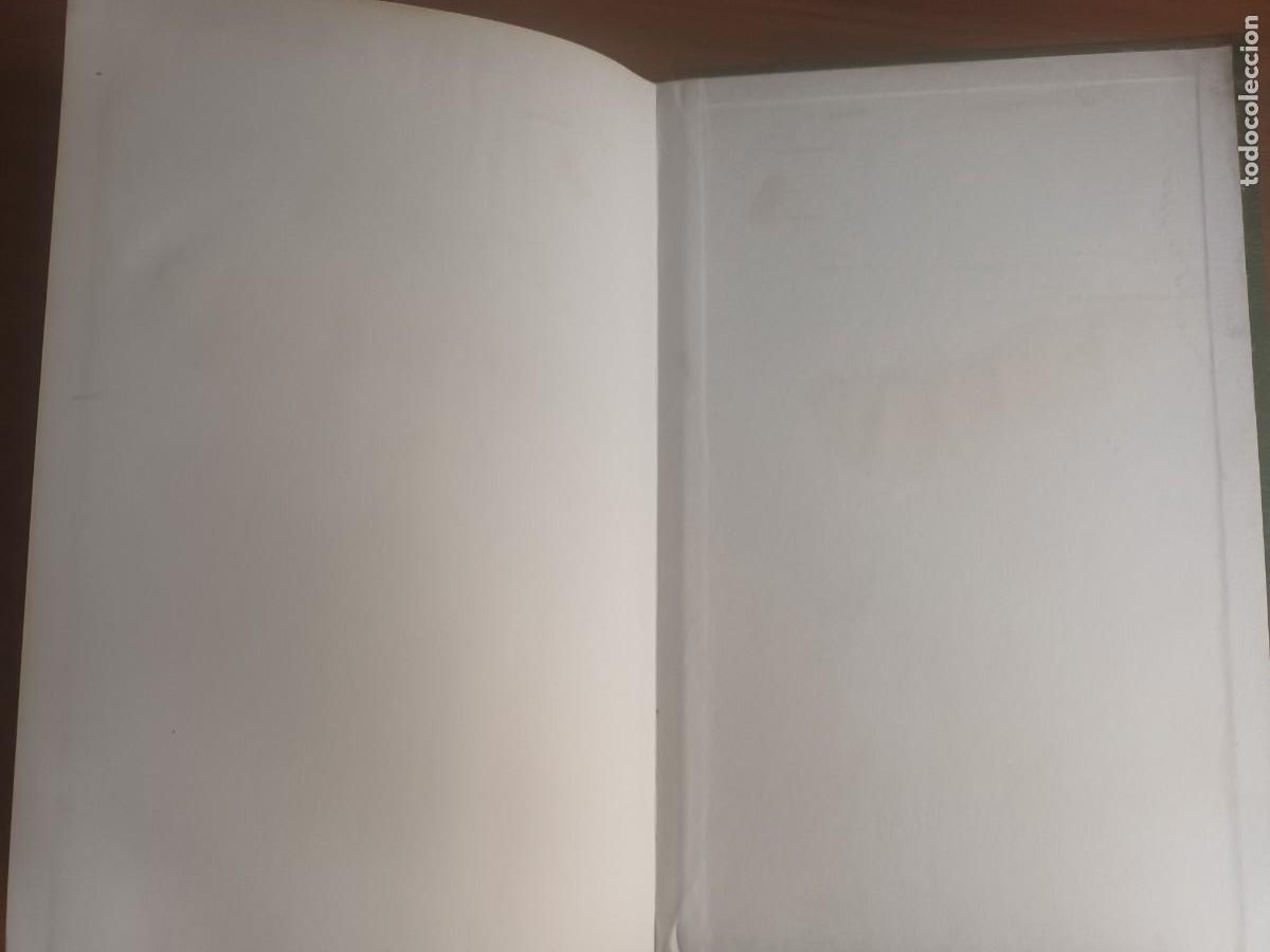 Libros de segunda mano: Insectos de Canarias --- R. Garc&iacute;a Becerra y otros - Foto 10