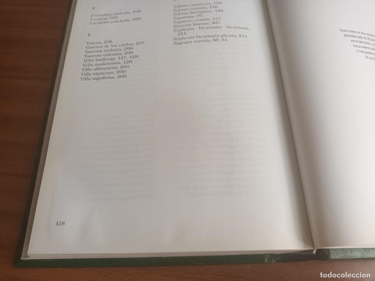 Libros de segunda mano: Insectos de Canarias --- R. Garc&iacute;a Becerra y otros - Foto 12