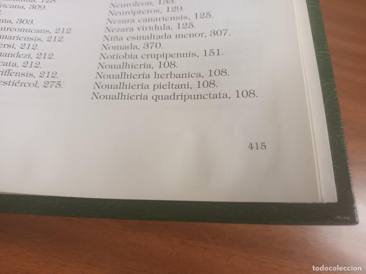 Libros de segunda mano: Insectos de Canarias --- R. Garc&iacute;a Becerra y otros - Foto 13