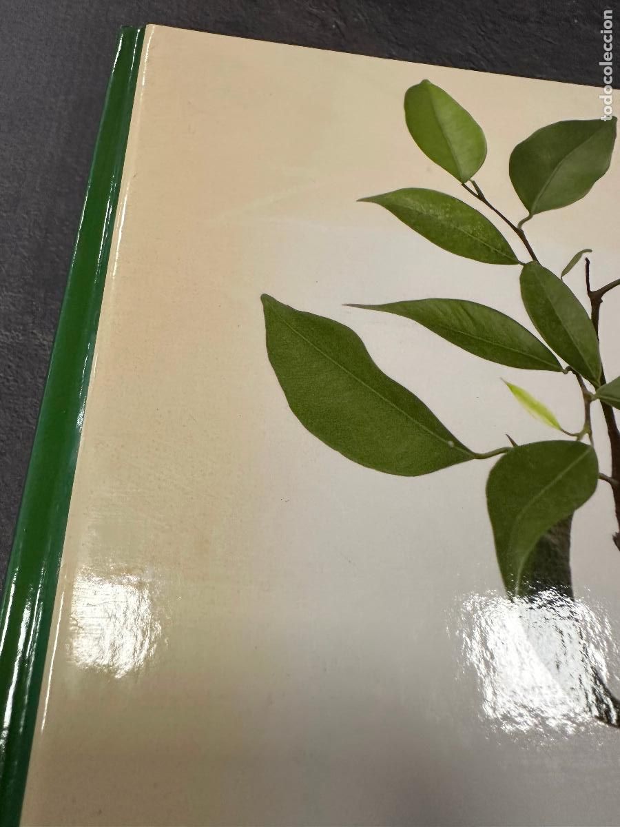 Libros de segunda mano: El gran libro de la Jardiner&iacute;a - Foto 2