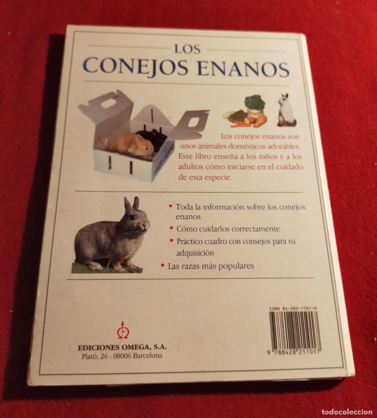 Libros de segunda mano: LOS CONEJOS ENANOS - - Foto 2