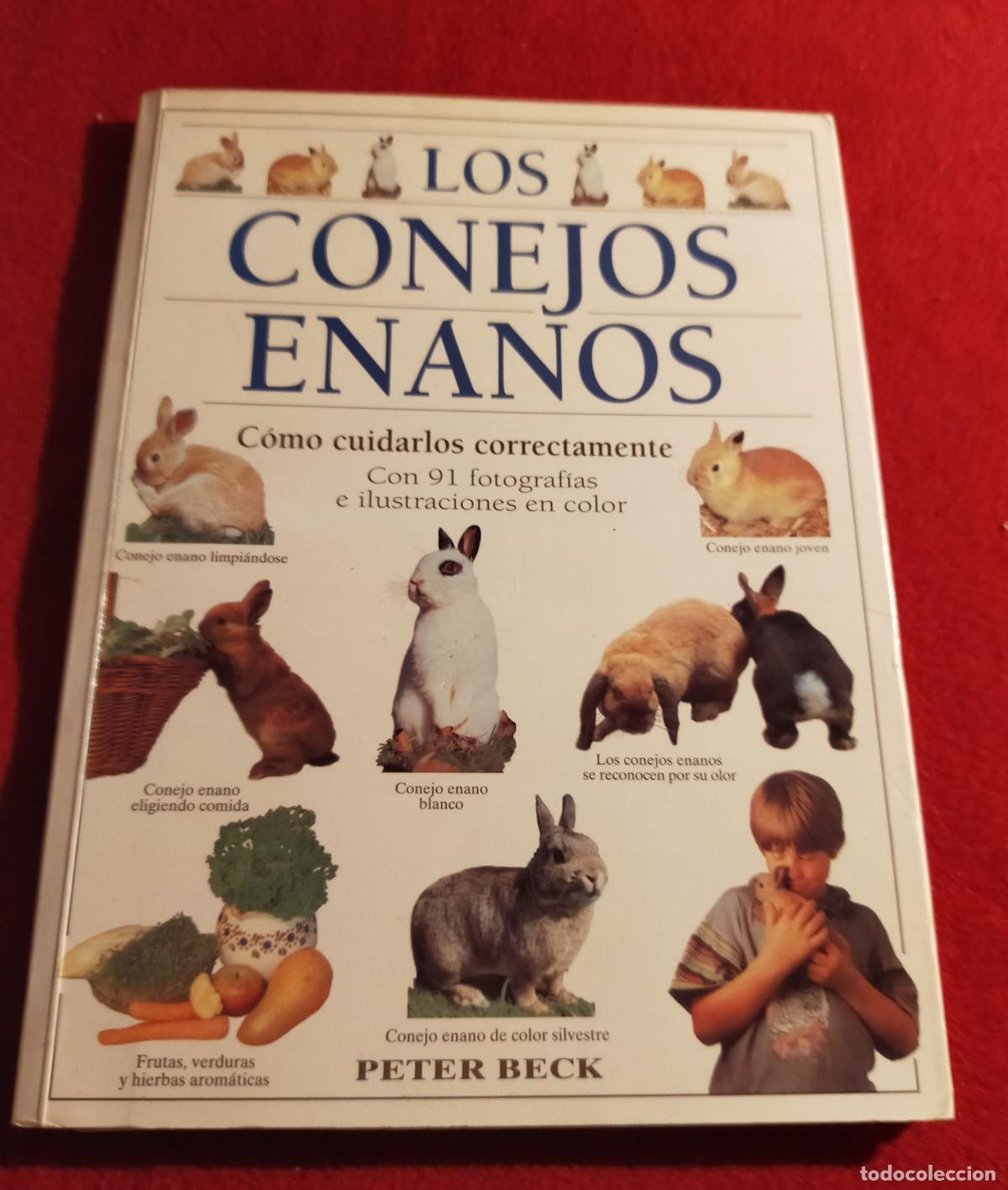 Libros de segunda mano: LOS CONEJOS ENANOS - - Foto 1