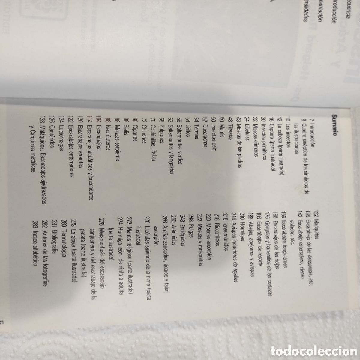 Libros de segunda mano: Insectos y Ar&aacute;cnidos - Foto 4