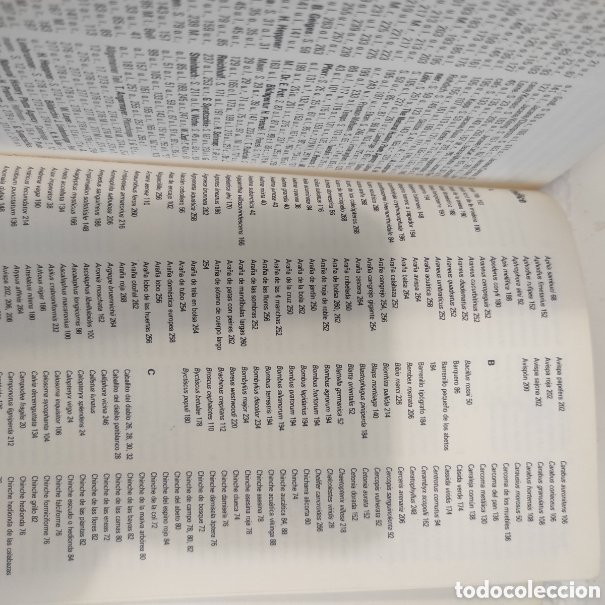 Libros de segunda mano: Insectos y Ar&aacute;cnidos - Foto 8