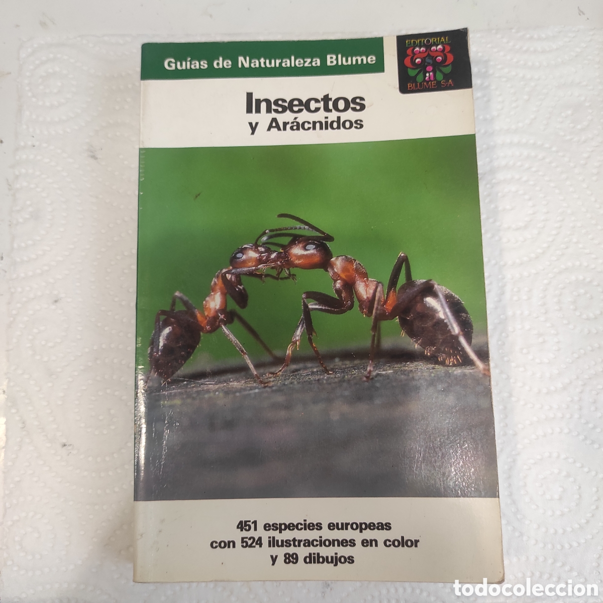 Libros de segunda mano: Insectos y Ar&aacute;cnidos - Foto 1