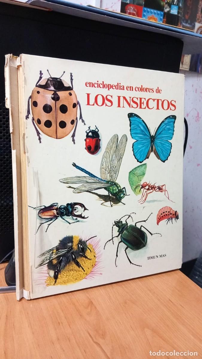 Libros de segunda mano: enciclopedia en colores de los insectos Timun Mas - Foto 1