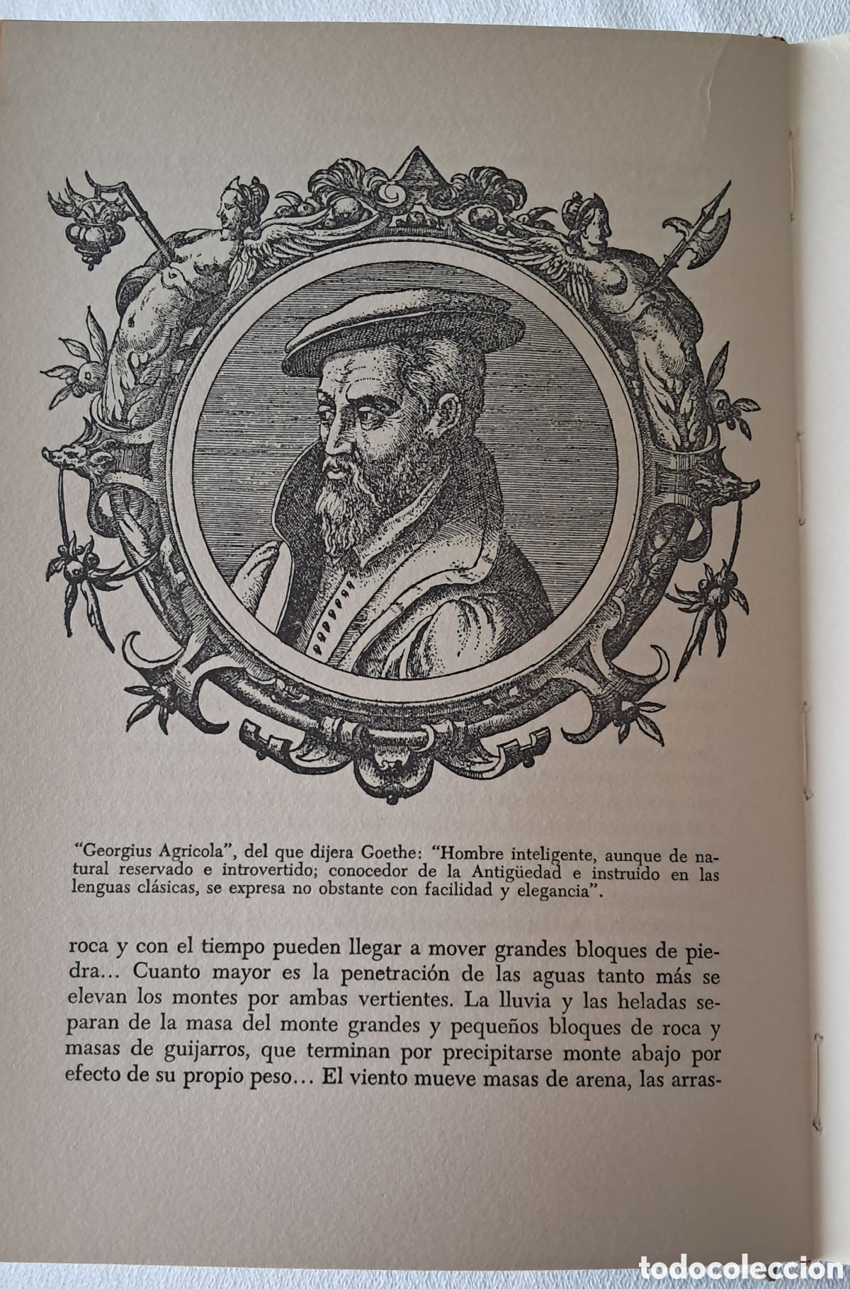 Libros de segunda mano: Antes del Diluvio (Primera edici&oacute;n) - Foto 3