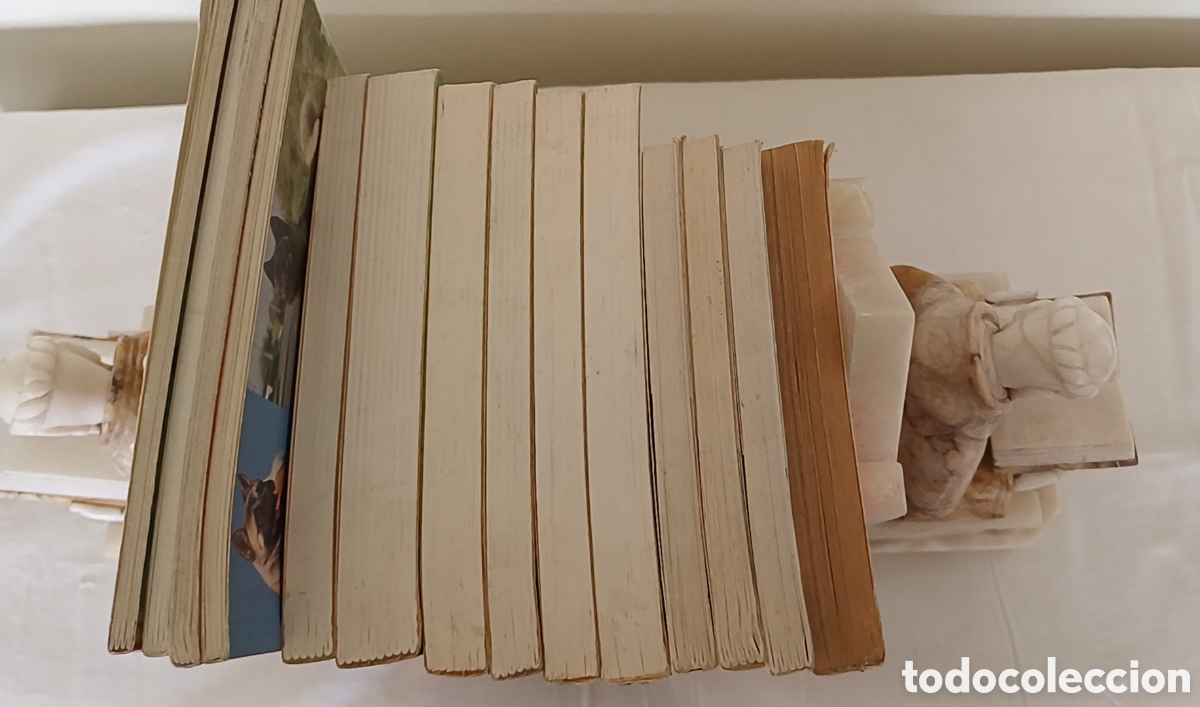 Libros de segunda mano: Gran lote libros perros de raza 1979 a 1999 - Foto 6