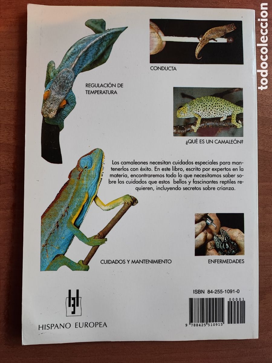 Libros de segunda mano: CAMALEONES. CUIDADOS-CRIANZA - Foto 2