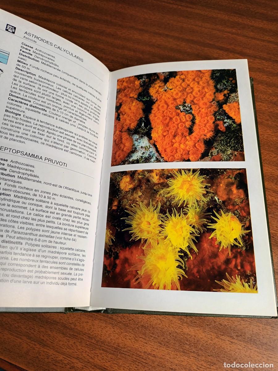 Libros de segunda mano: flore et faune de la M&eacute;diterran&eacute;e --- Mojetta, Ghisotti - Foto 7