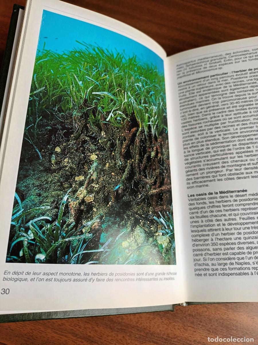 Libros de segunda mano: flore et faune de la M&eacute;diterran&eacute;e --- Mojetta, Ghisotti - Foto 8
